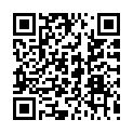 QR code zu Risco