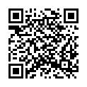 QR code zu  Heinrichstollen