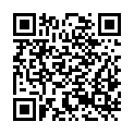 QR code zu  Pagodenburg