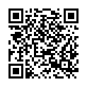 QR code zu Grad Šinkov Turn