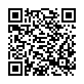 QR code zu Nesselburg