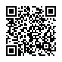 QR code zu Schloss Gmünd