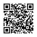 QR code zu  Stolchsches Schloss