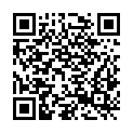 QR code zu Mindelburg