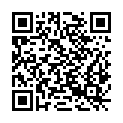 QR code zu Burg