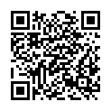 QR code zu  Schloss Liesing