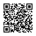 QR code zu Schloss Velden