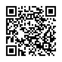 QR code zu  Burg Friberg