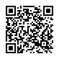 QR code zu Steineck
