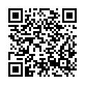 QR code zu Ritterhaus