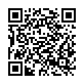 QR code zu Burg Brandis