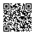 QR code zu  Mestni muzej Idrija