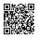 QR code zu  Batterie Zonchi