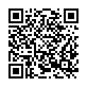 QR code zu  Palais Sternberg