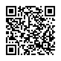 QR code zu Füberg