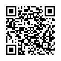 QR code zu  Burg Friberg