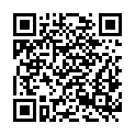 QR code zu  Schloss Haidenburg