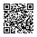 QR code zu  Burg Villach