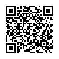 QR code zu Festung Kamerlengo