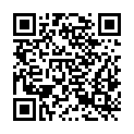 QR code zu  Birnlücke