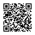 QR code zu  Stockerehöchi
