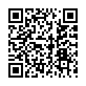 QR code zu  Seejöchl