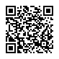 QR code zu Vogelsang-Pass
