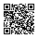 QR code zu  Brennerpass