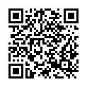QR code zu  Vileidjoch