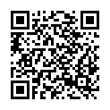 QR code zu Seibelseckle