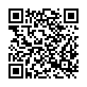 QR code zu Buchsenridl