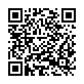 QR code zu  Passo Lurani