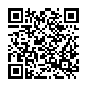 QR code zu  Pürglers Lenke