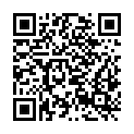 QR code zu  Plan Puitz