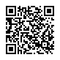 QR code zu  Schindertor