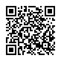 QR code zu  Fritzeflue