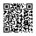 QR code zu  Mejniksattel