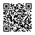 QR code zu  Villponer Lenke