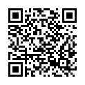 QR code zu  Stangscharte