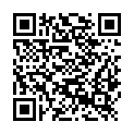 QR code zu Burg Harburg