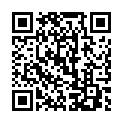 QR code zu  P2982