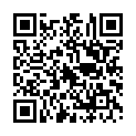 QR code zu  Leckipass