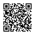 QR code zu  Bochtepass