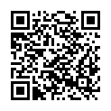 QR code zu  Lesniksattel