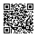 QR code zu  Palfelscharte