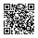 QR code zu  Schiineflue