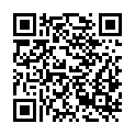 QR code zu  Dielauridel