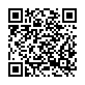 QR code zu  Paliis Nideri