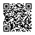 QR code zu  Mittlere Scharte