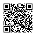 QR code zu  Flitzer Scharte